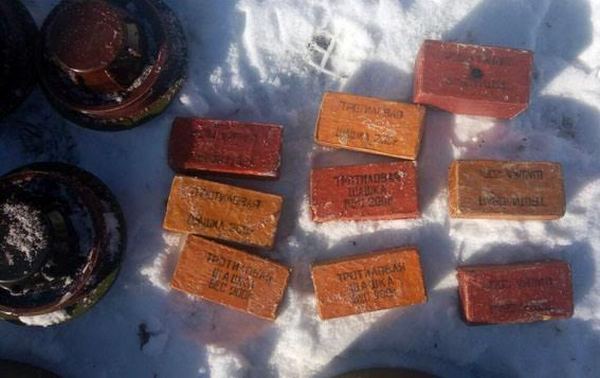 В прифронтовом Новолуганском возле гаражей обнаружили пакет с минами и тротилом(фото)