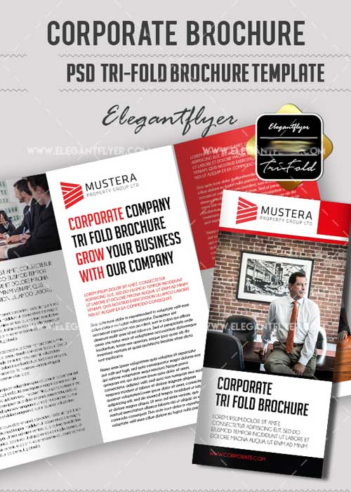 Corporate PSD V11 Tri-Fold Brochure Template