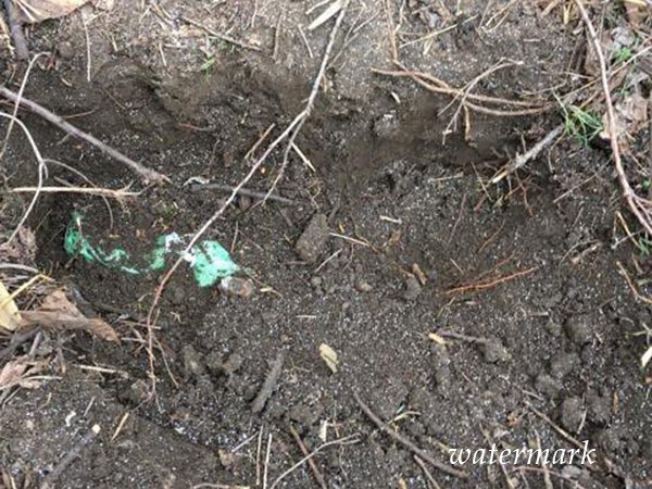 На Донетчине полицейские выкопали арсенал оружия, который два года пролежал в земле
