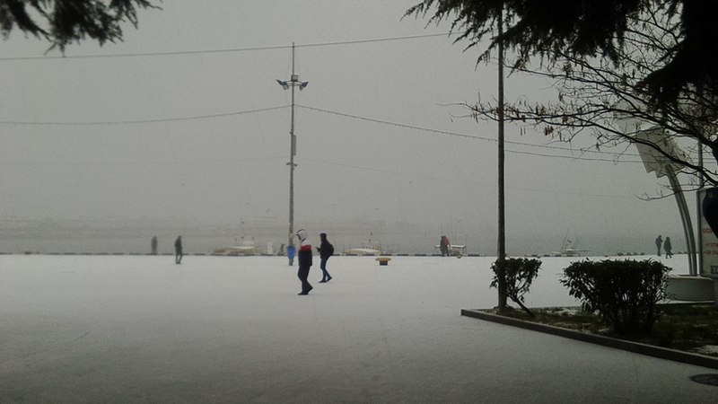 "Курортную столицу" Крыма засыпало снегом [фото]