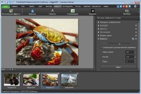 NCH PhotoPad Image Editor Pro 3.00 Ml/Rus/2017 Portable