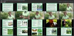  Выращивание жимолости, посадка, уход, размножение (2017) WEBRip
