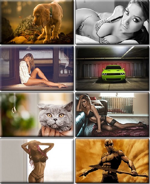 LIFEstyle News MiXture Images. Wallpapers Part (1163)