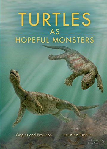 Turtles as Hopeful Monsters Origins and Evolution