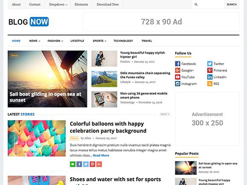 BlogNow v1.0 - WordPress Blog Theme - CM 1208580