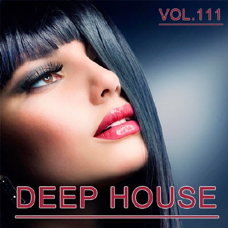 Deep House Collection Vol.111 (2017)