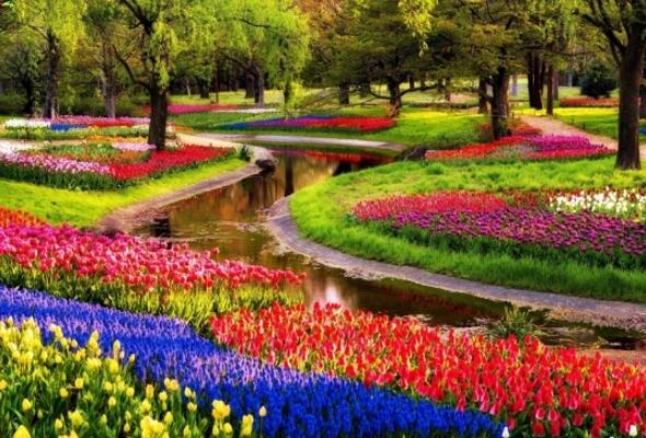 23 марта раскроется сезон в голландском парке цветов Кёкенхоф