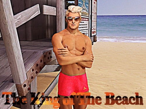 The King of the Beach [0.5 Fixed Final] (Honeygames) [uncen] [2017, ADV, 3DCG, Beach, Party, Oral sex, Big tits, Seduction, MILF, Groups sex, Bimbo, Bikini, Beach Girl, Threesome] [eng]