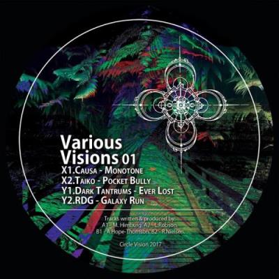 Various Visions 01 (2017)