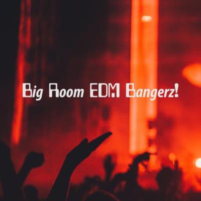 Big Room EDM Bangerz (2017)