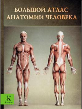 Винс Перез - Большой атлас анатомии человека (2013)