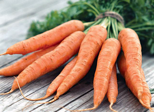 Как хранить морковь зимой - советы и практика