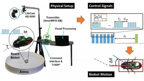 Система управления и контроля биороботов