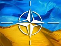 НАТО проспонсировало украинскую армию на 35 млн евро