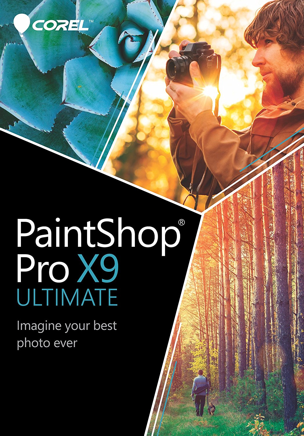 Corel PaintShop Pro X9 Ultimate 19.2.0.7 (2017) PC