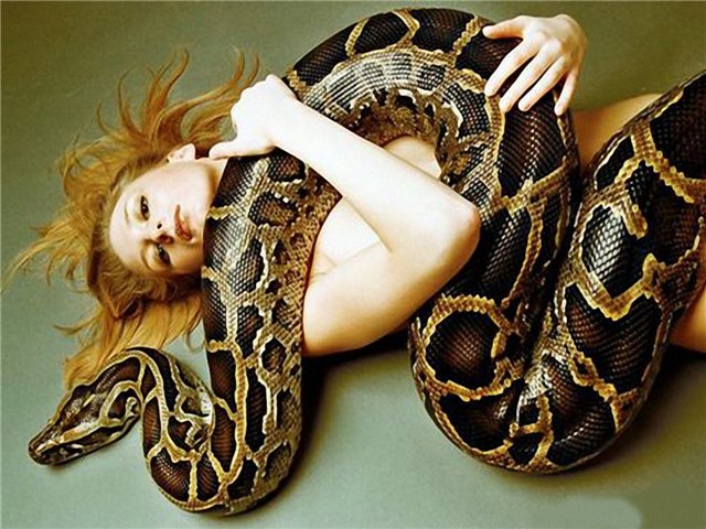 c61f7d9dec12ec7582c17ea1522ac1e2 - SNAKE EXTREME - Snake Sex Bestiality Collection