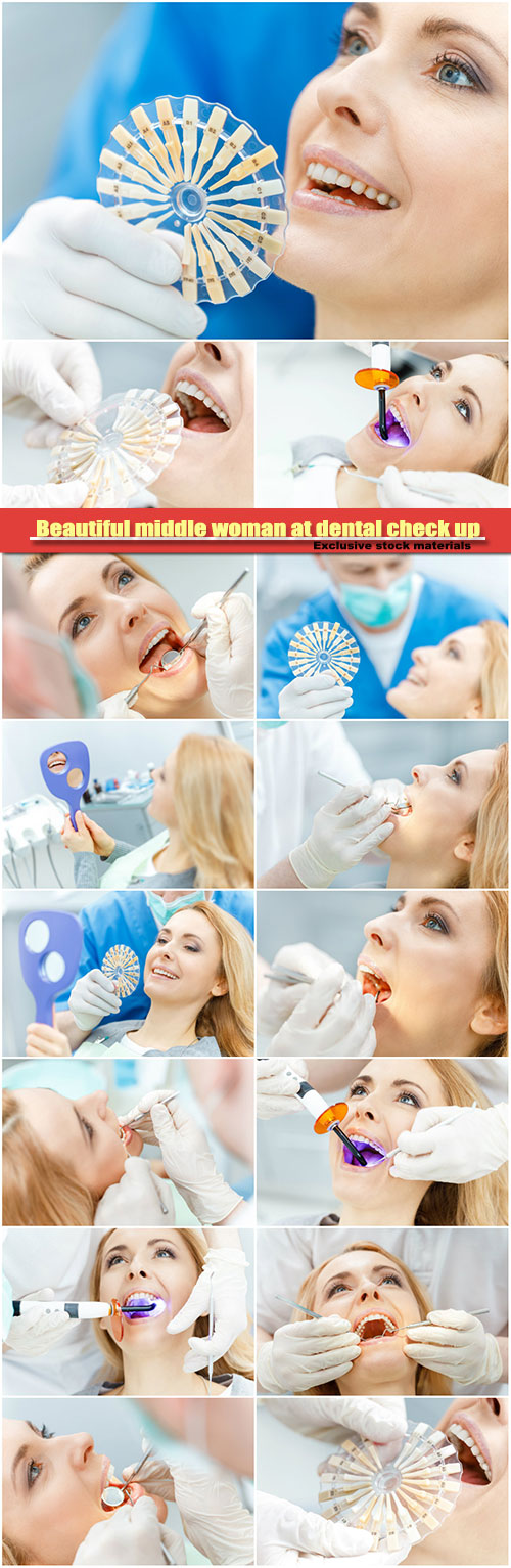 Beautiful middle woman at dental check up, comparing teeth of patient with samples