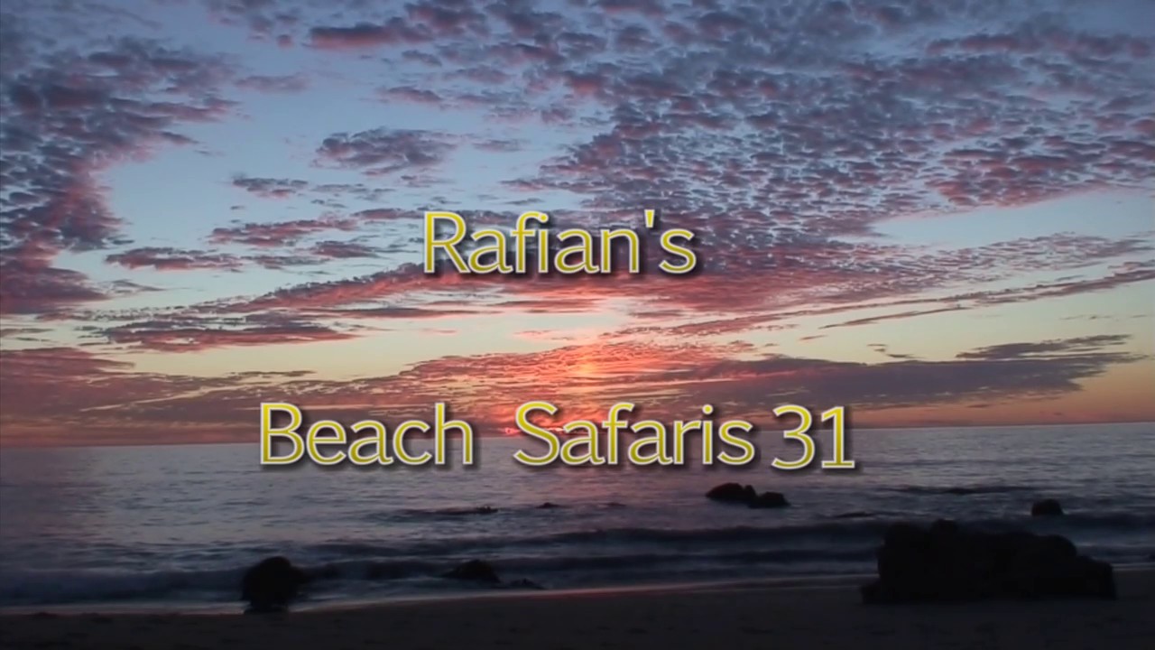  [Rafian.com] Rafian's Beach Safaris #31 HD  2015  Voyeur, Nudism, 720p, SiteRip
