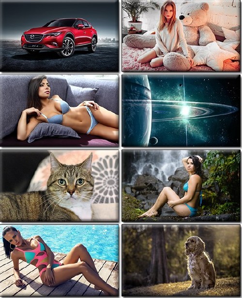 LIFEstyle News MiXture Images. Wallpapers Part (1209)
