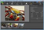 NCH PhotoPad Image Editor Pro 3.07 (ML/RUS/2017) Portable