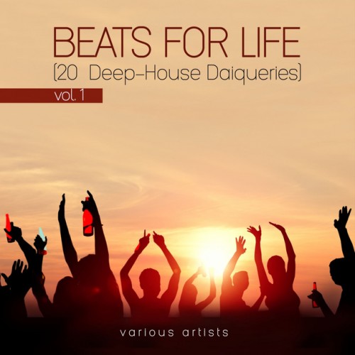 VA - Beats For Life Vol.1: 20 Deep-House Daiqueries (2017)