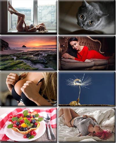 LIFEstyle News MiXture Images. Wallpapers Part (1219)
