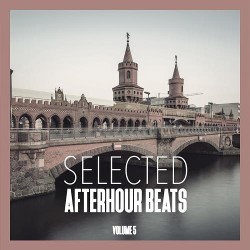 Selected Afterhour Beats, Vol. 5-Best of House and Techno (2017)