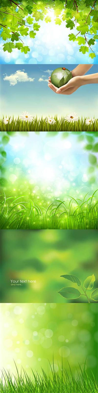 Spring backgrounds vector nature