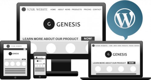 NULLED Genesis Framework v2.5.0 - WordPress Theme product image