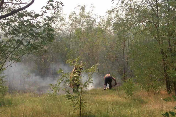 Масштабный пожар леса на Николаевщине ликвидирован(фото)