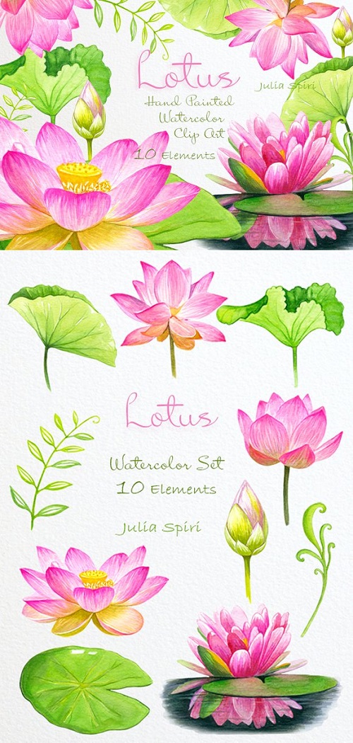 Lotus Watercolor Clip Art 780414