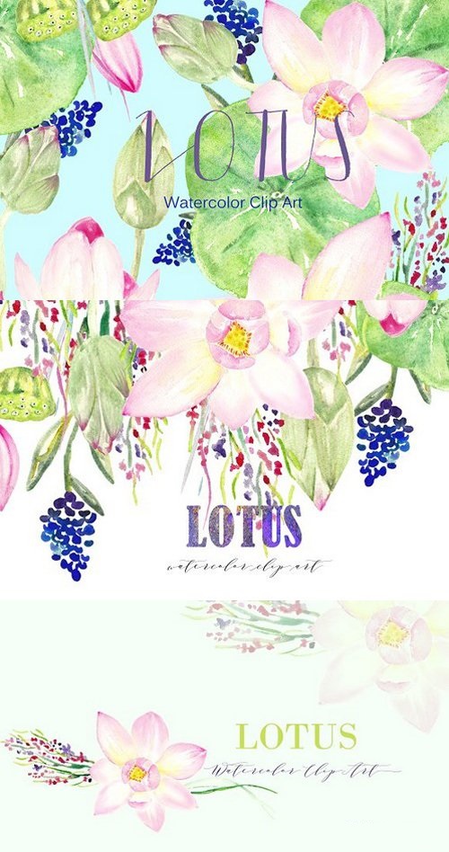 Lotus. Watercolor Clip Art 362613