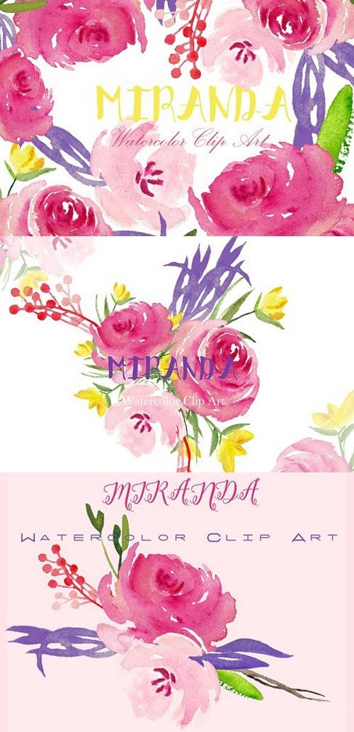 Miranda roses. Watercolor Clipart 337762