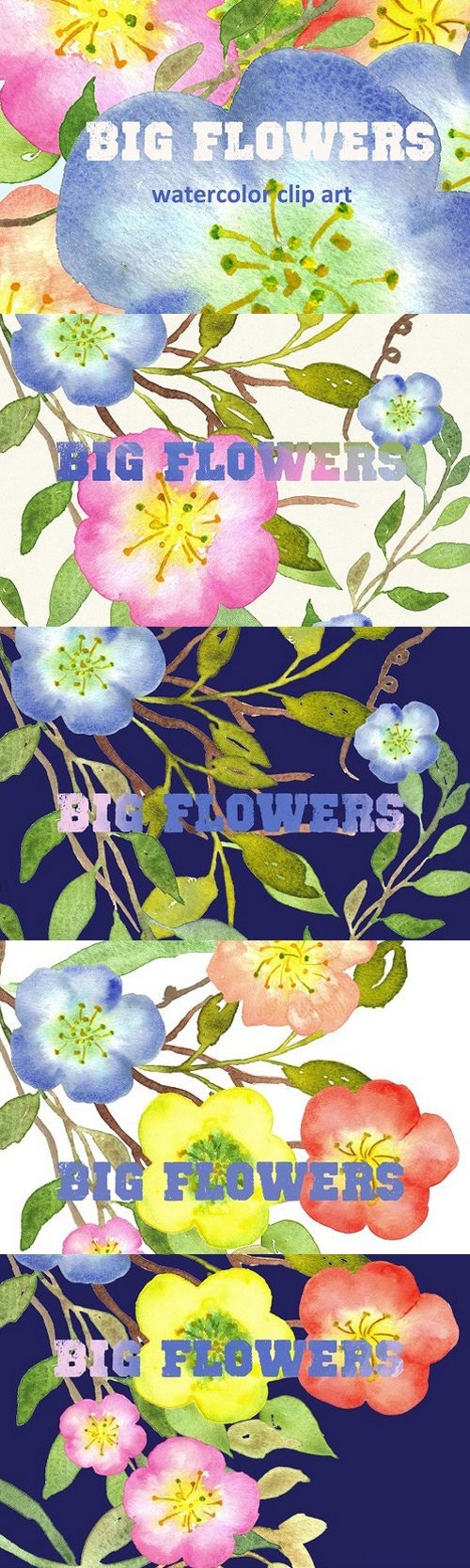 Big Flowers watercolor clip art 256589