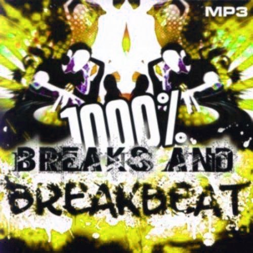 1000 % BreakBeat Vol. 145 (2017)