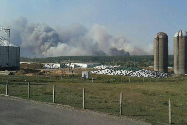 Лесной пожар на Харьковщине распространился на 70 га, к тушению привлечена авиация(фото)
