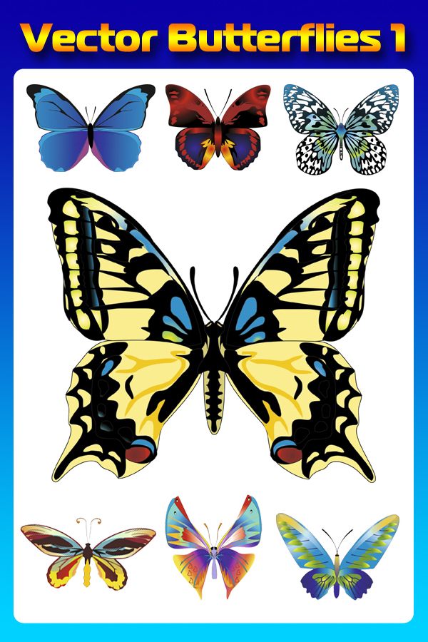 Бабочки (насекомые в векторе) часть первая
