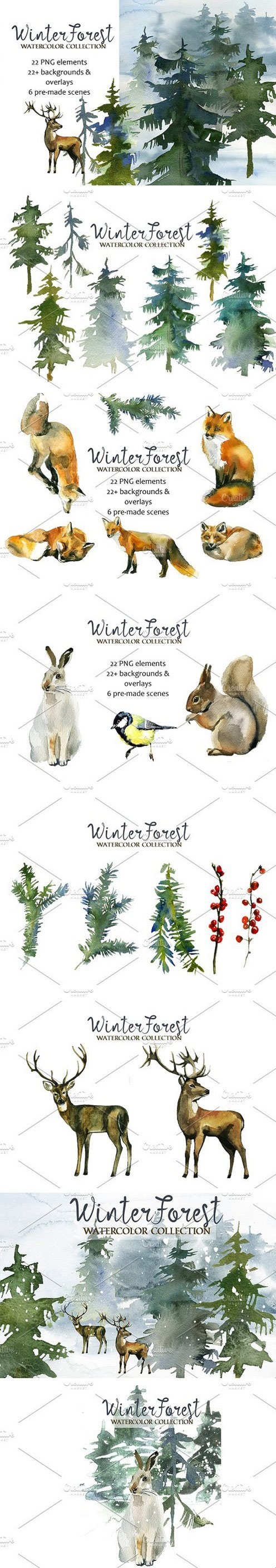 Forest Fir Trees Watercolor Clipart 1068778