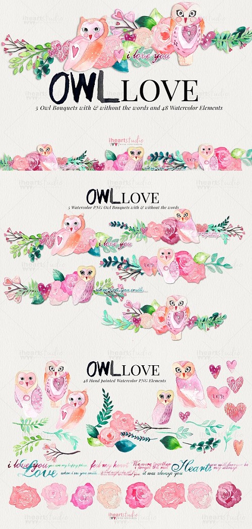 OWL Love Watercolors 1863847