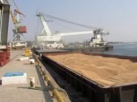 В Одесском порту налоговики изъяли более 42 тысяч тонн пшеницы и кукурузы почитай на 215 миллионов гривен