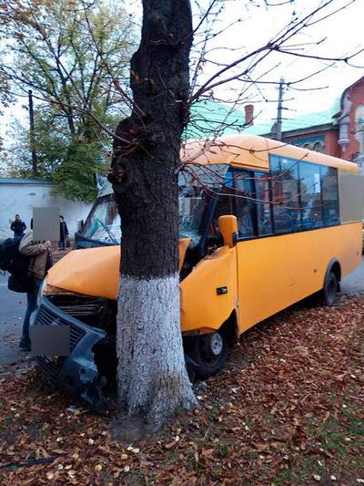 В фокусе Полтавы маршрутка въехала в дерево, потерпели водитель и два пассажира(фото)