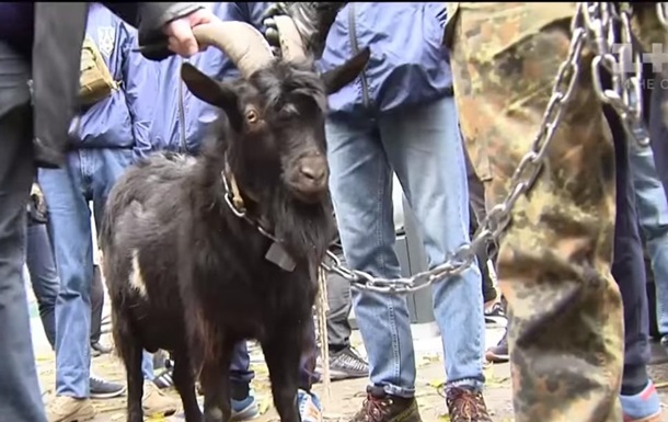Под посольство Чехии в Киеве привели козла
