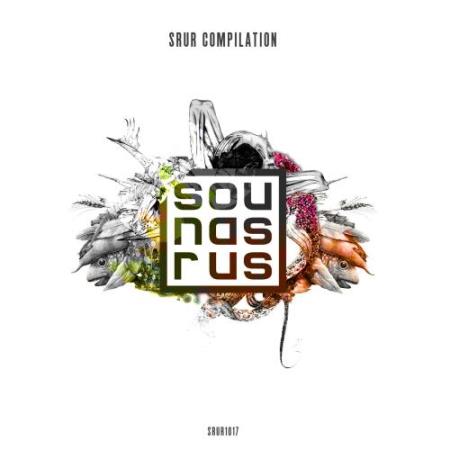 SRUR Compilation (2017)