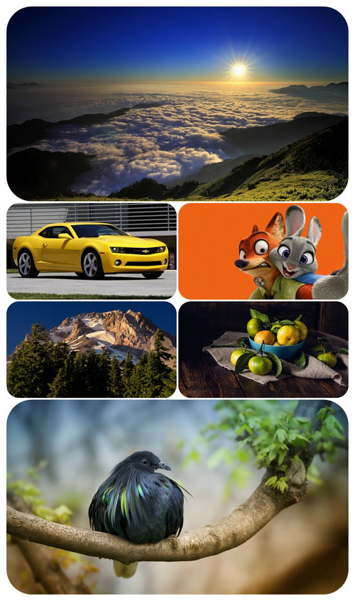 Beautiful Mixed Wallpapers Pack 538