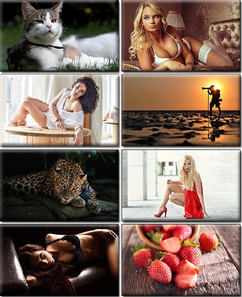 LIFEstyle News MiXture Images. Wallpapers Part (1312)