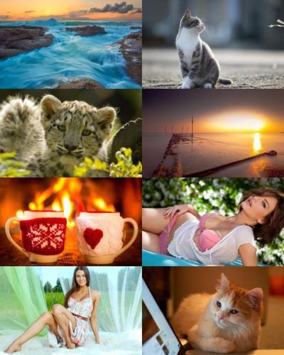 Wallpapers Mix №606