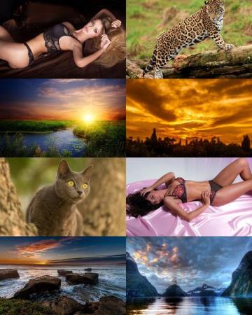 Wallpapers Mix №608