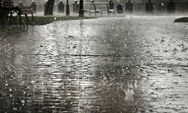 Завтра по всей Украине дожди и потепление