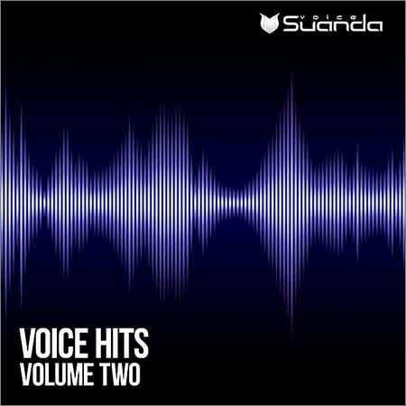 VA - Voice Hits Vol.2 (2018)