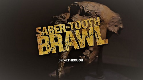 Curiosity TV - Breakthrough Saber-Tooth Brawl (2019) 1080p HDTV